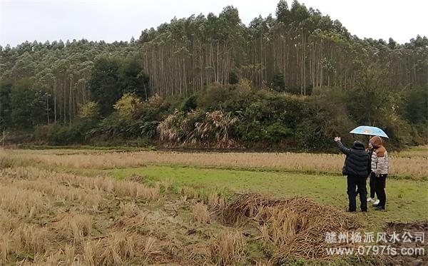 崇左市陈老师带着爱徒寻龙点穴